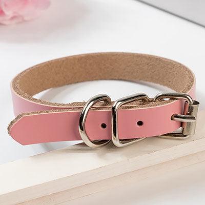 Luxury Leather Dog Collar - Stylish And Durable Pet Chain-6