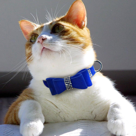 Sparkling Bling Rhinestone Pet Leash With Korean Velvet Comfort-0